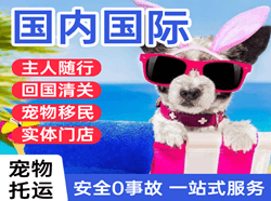 威海机场快运国际宠物托运 【国